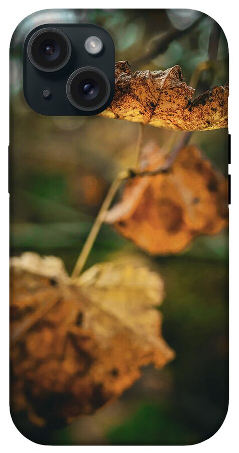 Yellow leaves - Phone Case