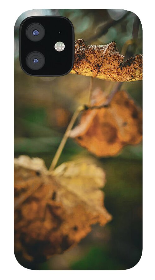 Yellow leaves - Phone Case