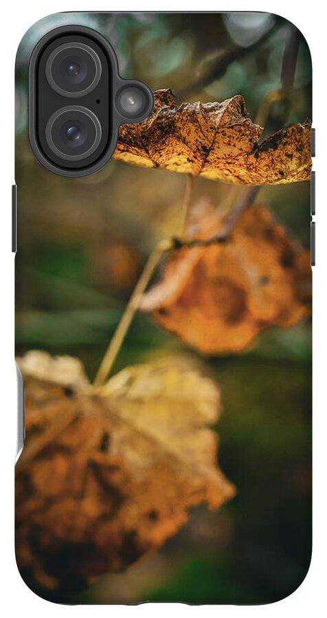 Yellow leaves - Phone Case
