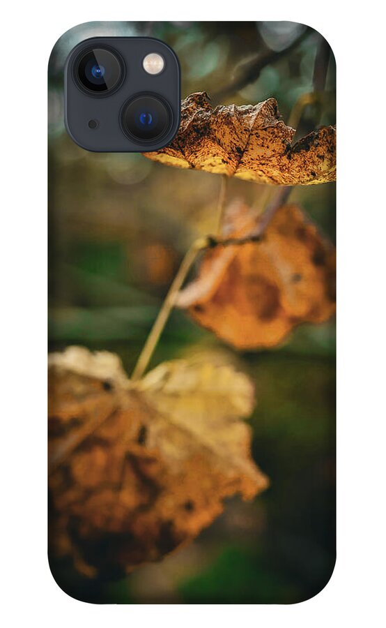 Yellow leaves - Phone Case