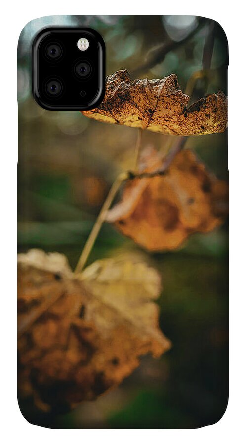 Yellow leaves - Phone Case