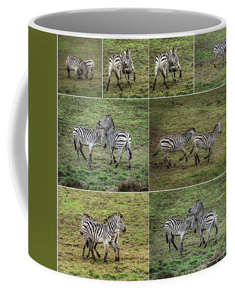 Zebras in play - Mug